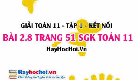 Giải bài 2.8 trang 51 Toán 11 tập 1 SGK Kết nối tri thức